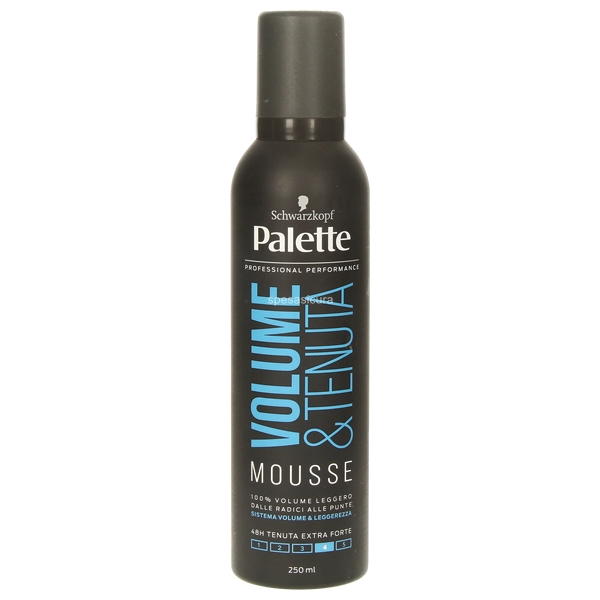 PALETTE ΑΦΡΟΣ 250ml TENUTA VOLUME